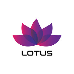 Beauty LOTUS flower vector design logo Template icon