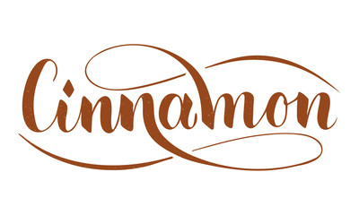 Vector hand written cinnamon text isolated on white background. Kitchen healthy herbs and spices for cooking. Script brushpen lettering with flourishes. Handwriting for banner, poster, product label