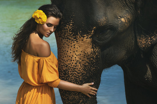 Woman In Beautiful Orange Dress And Mighty Elephant