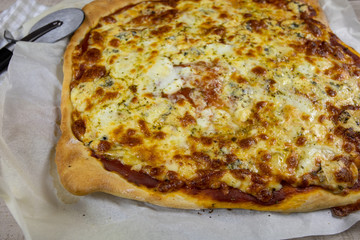 homemade cheese pizza on a table