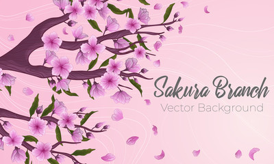 Naklejka na ściany i meble Vector horizontal background with blossom sakura branch with flowers and falling petals. Place for text. backdrop with hand drawn romantic cherry blossom branch on pink background. 