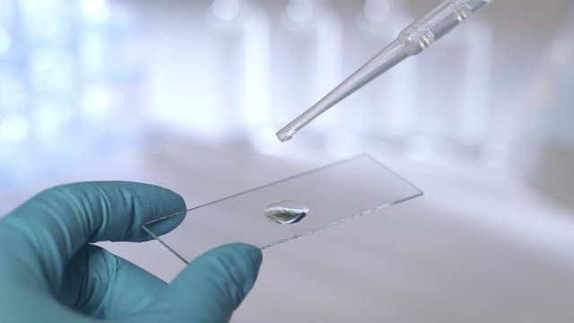 A scientist is preparing a sample for microscopy. Dripping liquid on a glass slide. Chemical or genetic research concept