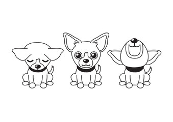 Vector cartoon character chihuahua dog poses for design.