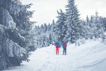 Fototapeta na wymiar Beskid Zywiecki. Winter in Poland. Captured during trekking on the way to Rysianka, near Zabnica village. Snowy Winter Mountains.