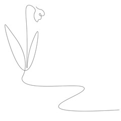 Snowdrop flower on white background, vector illustration