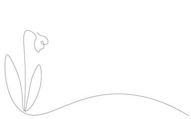 Snowdrop flower background, vector illustration