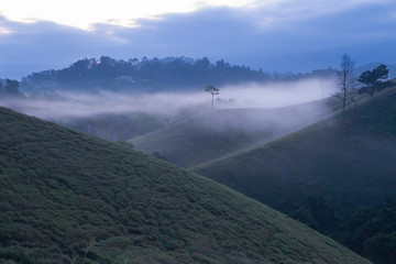 morning mist fog landscape hills landscape