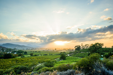 Fototapeta premium landscape with blue sky and clouds