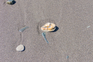 stones on the sand. Top view of sandy beach