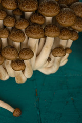 Fototapeta na wymiar Small mushrooms, a lot. Asia market, close up. Vertical frame.