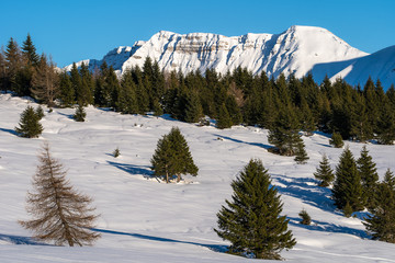 Mountains
