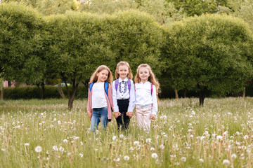 Fototapeta premium Sunny summer children are blowing dandelion flower