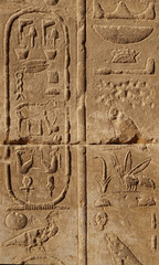 hieroglyph texture from Egypt karnak