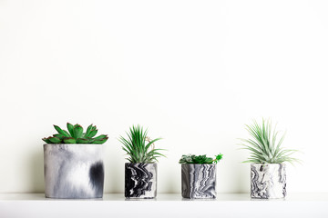 Collection of marbled geometric succulent planters with beautiful tiny succulent plants on white shelf against white wall. Lifestyle home decoration