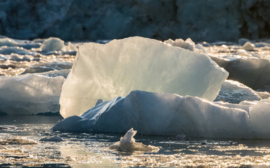 Treibeis im arktischen Ozean von der Sonne durchflutet