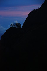 Mountain Slope covered with Cloud Forest in Ella, Sri Lanka