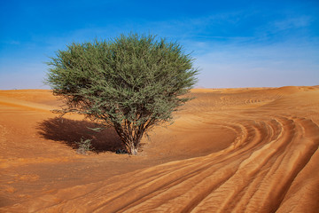 Red Sand Desert Barchan and Blue Sky Lanscape