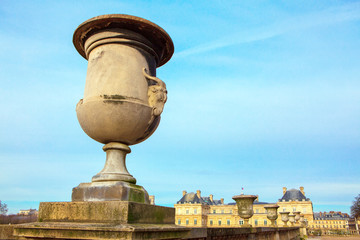 Obraz premium flowerpot in Luxembourg gardens from Paris 
