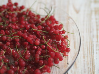 A bowl of frozen red currants on a white plate or table. Harvesting berries for the winter. Preservation of the crop in the freezer at home.