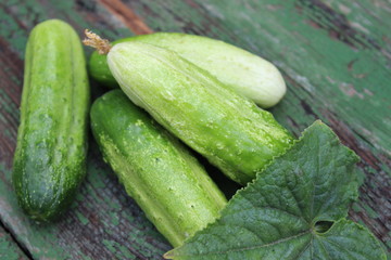 Organic green cucumbers on the background of boards