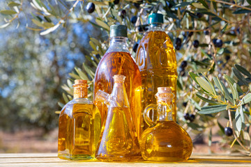 Olive oil on wooden table on background of olive tree