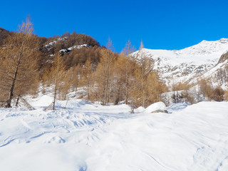 Fototapeta na wymiar Winterlandschaft in Südtirol (Pfossental)