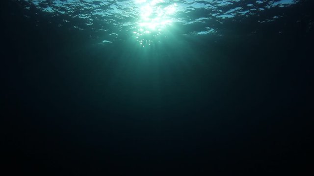 Underwater video of sunlight in ocean 
