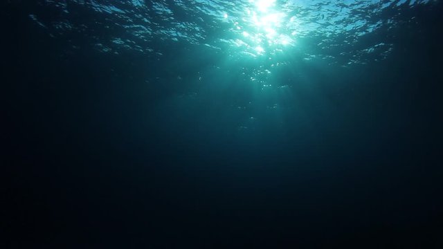 Underwater video of sunlight in ocean 