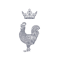 Fototapeta na wymiar Hen or chicken with Crown hand drawn with contour lines on white background. Elegant monochrome drawing of domestic farm poultry bird. illustration in vintage woodcut, engraving or etching style