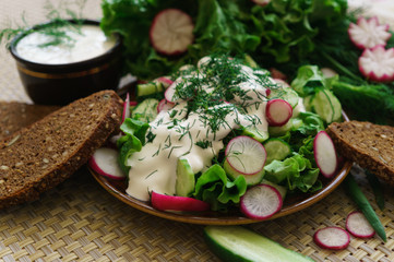 Cooked salad of cucumber, radish and herbs, seasoned with sour cream.