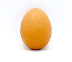 egg isolated on white background