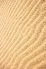 Natural pattern of sand. Close up