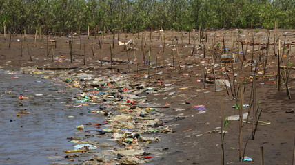 Mangrove forests contaminated with plastic waste, wiyh selective focus on Pekalongan beach, Central Java, Indonesia, 3 January 2020