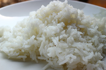 cooked white rice on a plate 