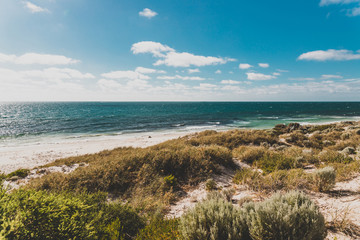 Fototapeta na wymiar detail of Cottesloe Beach, one of the most iconic beaches near Perth