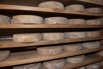 Bettelmat cheese from the Ossola valley