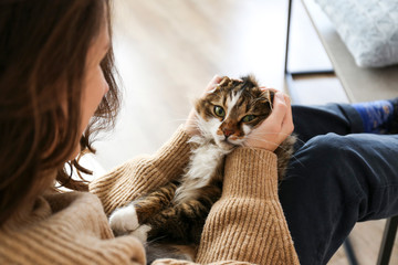 Portrait of cute domestic cat with green eyes lying with owner at home. Unrecognizable young woman...