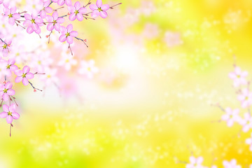 Obraz na płótnie Canvas Blossoming branch apple. Bright colorful spring flowers