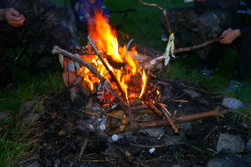 Closeup of a wooden campfire. Branchs and twigs on fire.