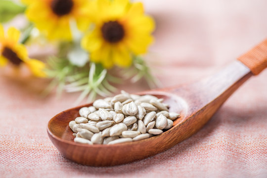 327 Best ひまわりの種 Images Stock Photos Vectors Adobe Stock