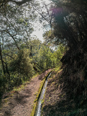 Paisagens da ilha da madeira