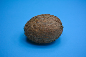 Coconut on blue colored background