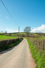 Fototapeta na wymiar Summertime country lane in England