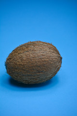 Coconut on blue colored background