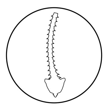 recommend clip art: Linear silhouette icon scoliosis. Spinal curvature, kyphosis, lordosis of the neck, scoliosis, arthrosis. Improper posture and stoop. Infographics Vector illustration on isolated background.