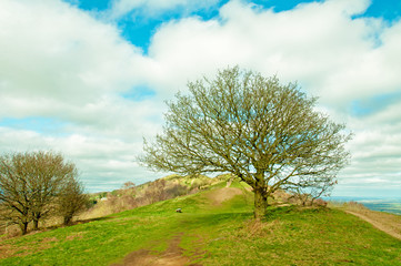 Fototapeta na wymiar Malvern hills of England in the springtime