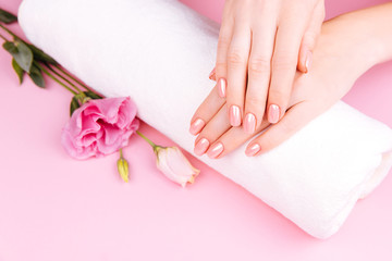 Beautiful Woman Hands with fresh eustoma. Spa and Manicure concept. Female hands with pink manicure. Soft skin, skincare concept. Beauty nails. Over beige background
