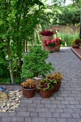Garden decorations with flowers in pots and flower beds, terraces, balconies and pappers and stairs.