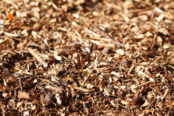 Holzspäne ,Holzschnitzel, Rindenmulch , Bodenbelag, Hintergrundbild