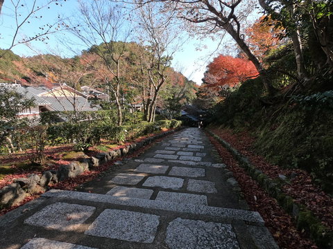 化野念仏寺」の写真素材 | 267件の無料イラスト画像 | Adobe Stock